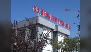 Akdeniz'in dibi çölleşiyor