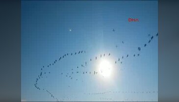 Göç yolundaki ışık UFO mu?