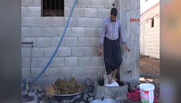 Siverek'te, bağ bozumu zamanı