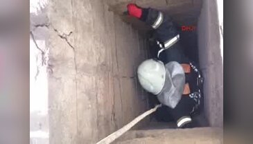 Kuyuya düşen yavru kediyi itfaiye kurtardı