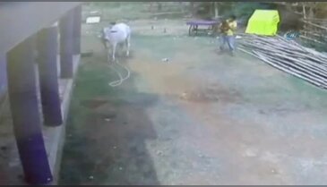 Küçük çocuk ölümden döndü