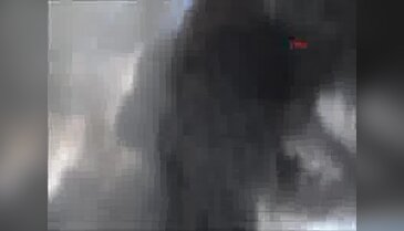 Çubuk Sanayisinde yangın paniği