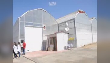 Azeri yatırımcı Germencik'e sera kurdu
