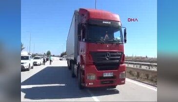Adana'da bir TIR'dan 35 at çıktı