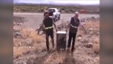 Tedavileri tamamlanan kurtlar yeniden doğaya bırakıldı