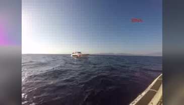Kuşadası'nda 48 kaçak göçmen yakalandı