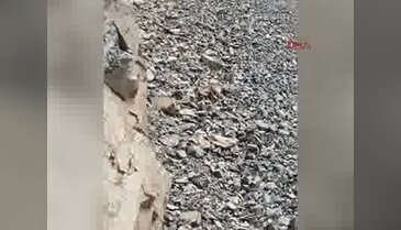 Çoruh Nehri'ne su içmeye inen yaban keçisini vurdular