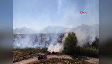 Antalya'da orman yangını