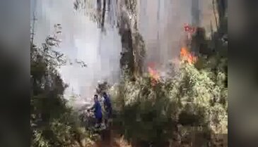 Marmaris'te orman yangını