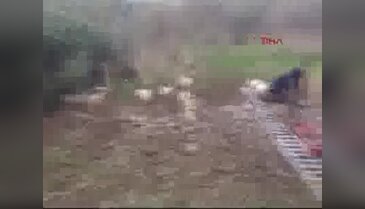 Bursa'da bataklığa saplanan koyun sürüsünü itfaiye kurtardı