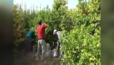 Okuduğu okula bilgisayar laboratuvarı kurdu