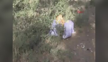 Ormana atılan 5 çuvaldan 10 kilo 100 gram esrar çıktı