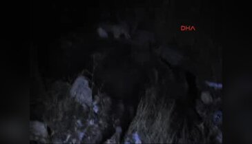 Domuza çarpan otomobil alev aldı