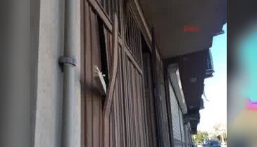 Deprem askıdaki 25 ton kavunu telef etti