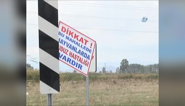 Bursa'nın Karacabey ilçesinde o köylerin girişine "kuduz var" tabelası asıldı