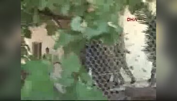 Darbeci askerler Muğla'da yargılanacak