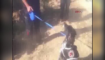 Kayıp Irmak için arama çalışmalarına tekrar başlandı