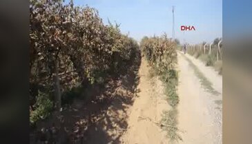Kayıp Irmak için arama çalışmalarına tekrar başlandı - 2