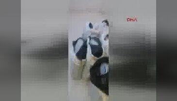 Esenyurt'ta uyuşturucu operasyonu
