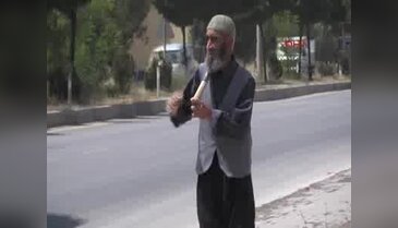 Kavak ağacı soyup evini geçindiriyor