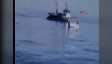Balıkçı teknesinin daldığı çiftlikte balıklar telef oldu