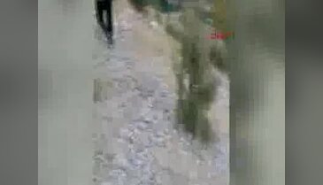 Kayıp Bahar'ın bulunması için Van'dan arama köpekleri getirildi