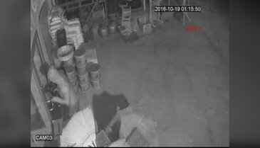 Hırsızlar güvenlik kamerasına yakalandı