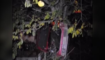 Ağaca çarpan otomobili kullanan genç öldü