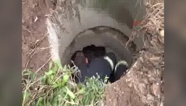Rögara düşen köpek yavrusunu itfaiye kurtardı