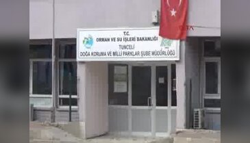 Tunceli'de ölü anne ile yaralı yavru Vaşak bulundu