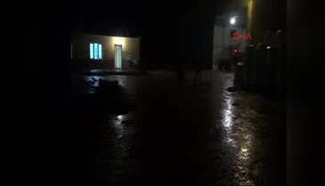 Besi çiftliğine silahlı baskın: 3 kardeş öldürüldü
