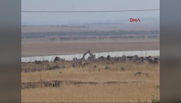 Suriye'deki IŞİD hedefleri vurulmaya devam ediyor