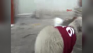 Bursa'da bayramda kesmeye kıyamayınca arkadaş oldu