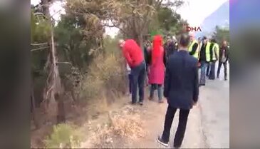 Spil Dağı'na terk edilmiş hayvanlar unutulmadı