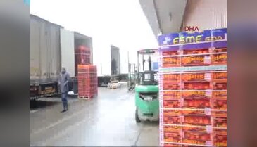 Türk portakalı yeniden Rusya'da