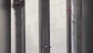 Karganın ekmek arası keyfi