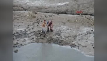 Sular çekilince balıkları elleriyle topladılar