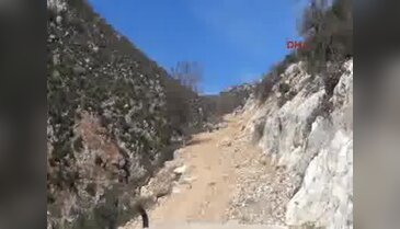 Defne yapraklarını bin metreden teleferikle indiriyorlar