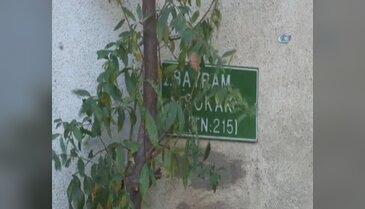 Bursa'da bebek firarda!
