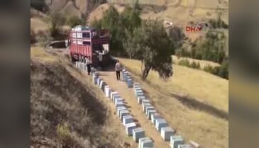 Arıcılar göç yolunda