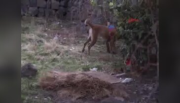 Diyarbakır'da PKK'nın gömülü silah ve mühimmatı bulundu