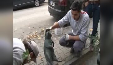 Tombili'nin heykeli yerine konuldu