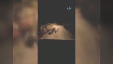 Uludağ ve Kazdağları'nda ayılar böyle görüntülendi