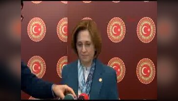 MHP'li Depboylu; Kendiside bir babadır, bir ağabeydir, böyle bir kanuna olumlu bakamaz - 1