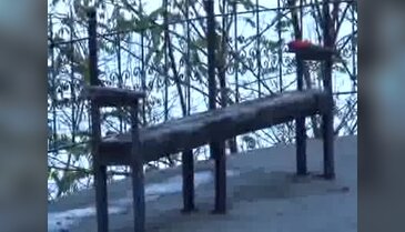 Ordu'da tahrip edilen kadın heykeli kaldırıldı