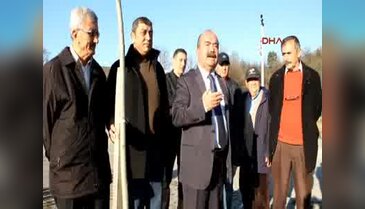 56 akasya ağacını baltayla kestiler