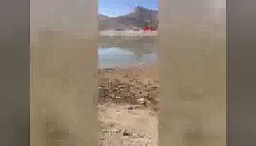 Ördek avına gitti bataklığa saplandı