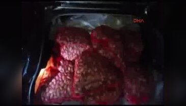 Jandarmanın durdurduğu lüks araçlarda kaçak midye ele geçirildi