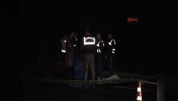 Yol kenarında ölü olarak bulundu