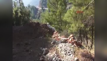Ücret pahalı diye molozlar ormana dökülüyor